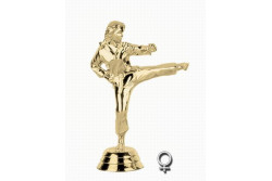 F KARATE NŐ
427 F KARATE NŐ
427
427 Karate nő